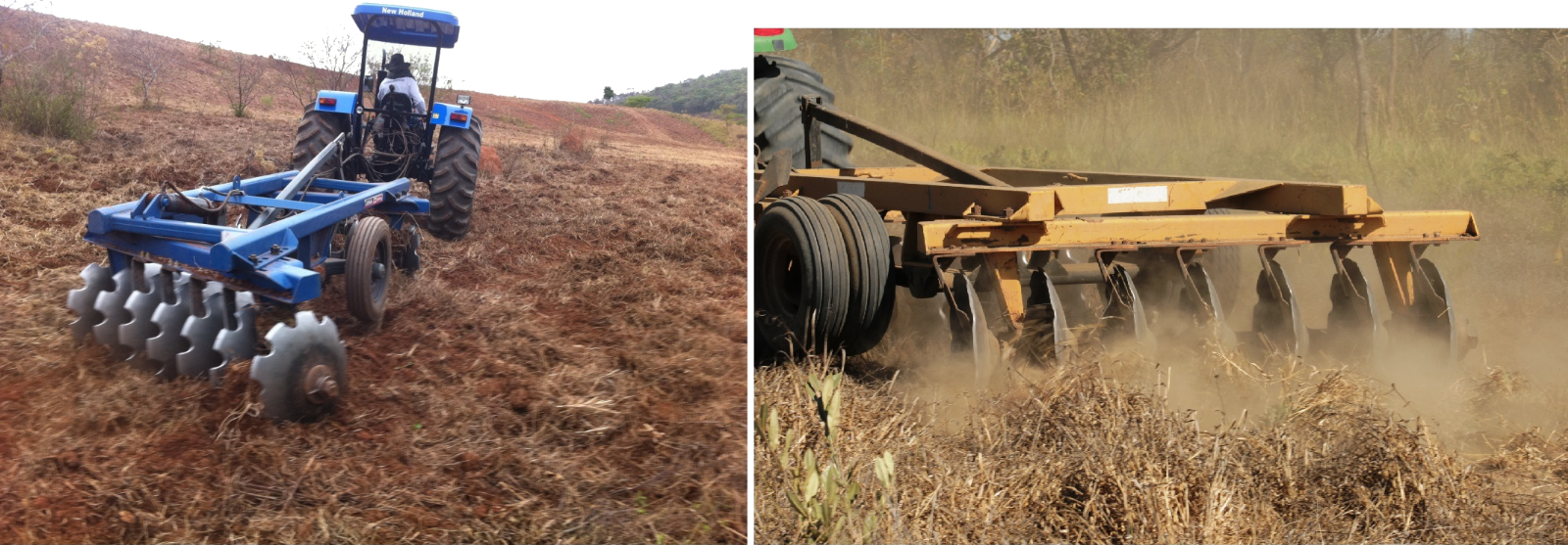 Área em processo de reflorestamento conduzido pela Embaúba Ambiental